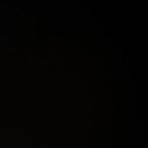 Meet your Posher, layla